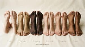 Douze pieds montrant différentes variations morphologiques et teintes de peau