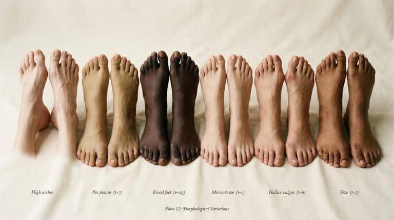 Douze pieds montrant différentes variations morphologiques et teintes de peau
